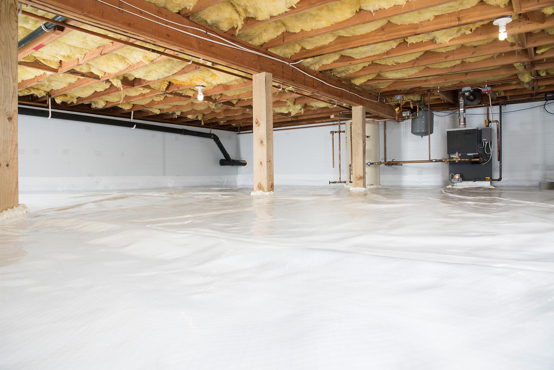 Dry Rot - Regional Foundation & Crawl Space Repair