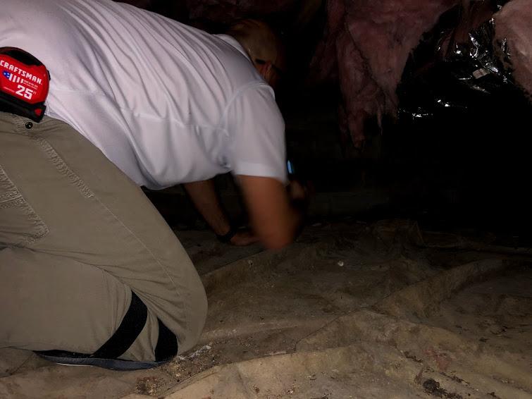 Inspecting in the crawlspace conditions