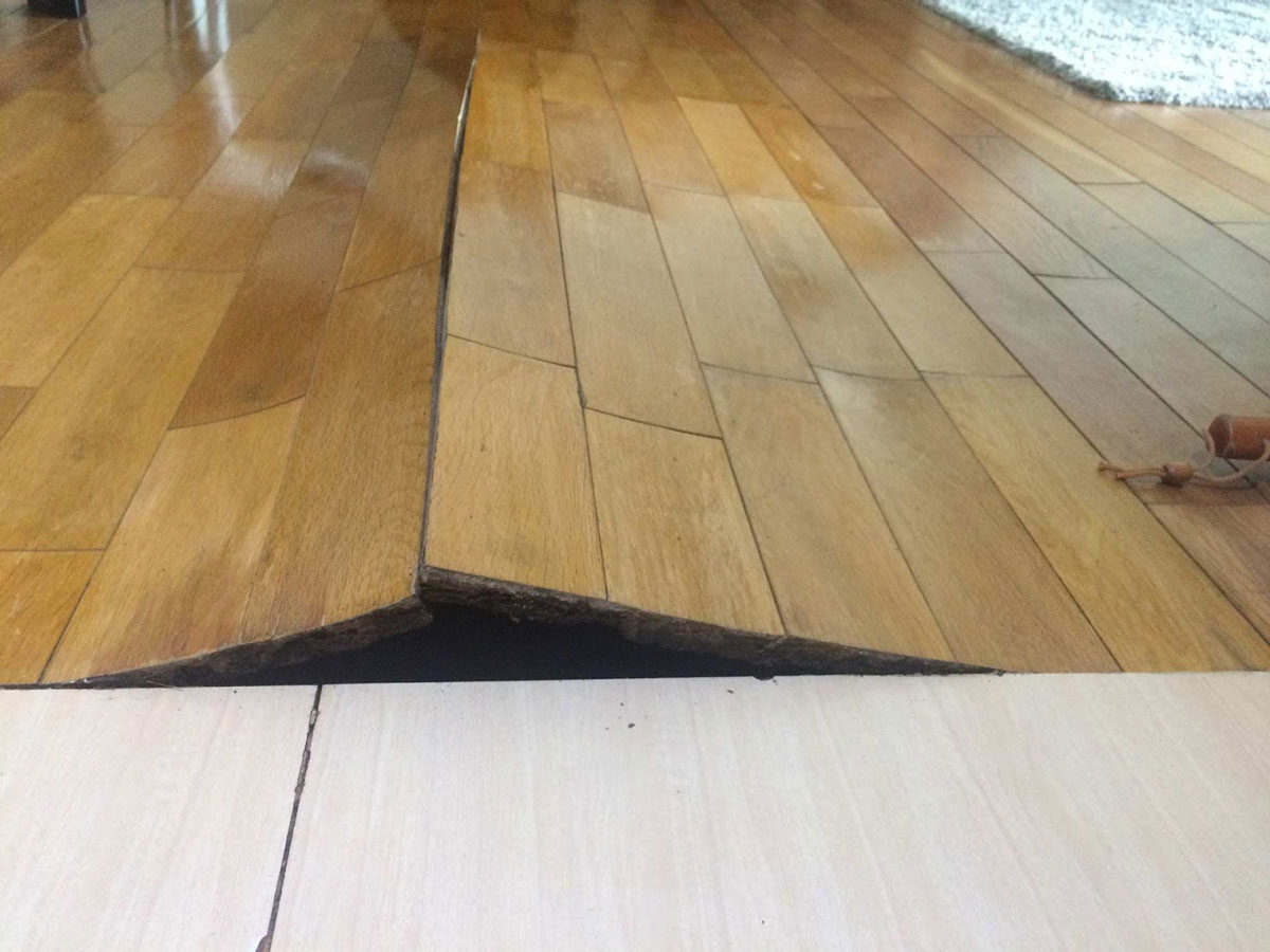 Sloping floors: Lack of crawl space support can cause your floors to begin sloping. If the floor directly above your crawl space has a pitch, there is an excellent chance that your crawl space needs more support.
