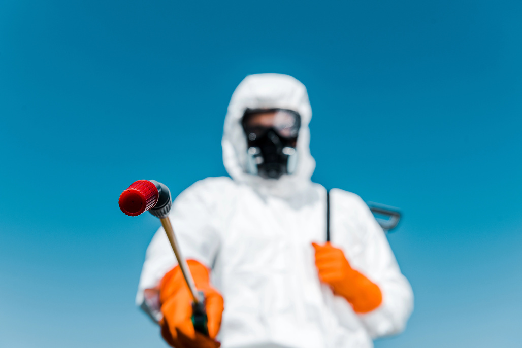 crawl space mold removal