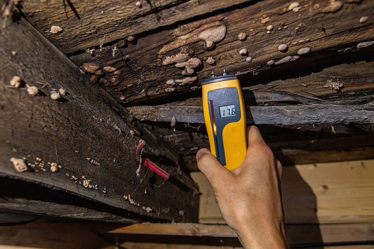 crawl space moisture problems