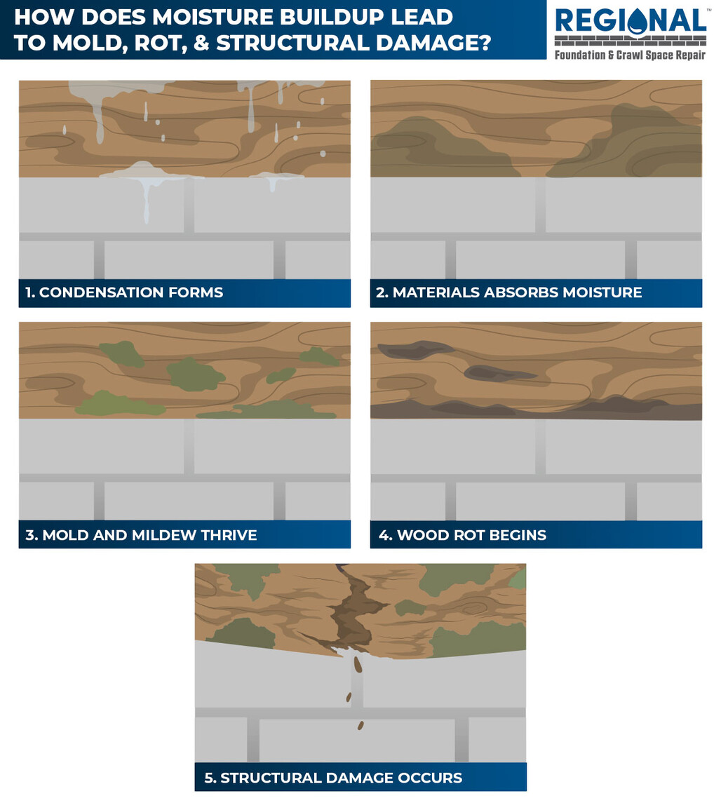 How Does Moisture Buildup Lead To Mold, Rot, And Structural Damage