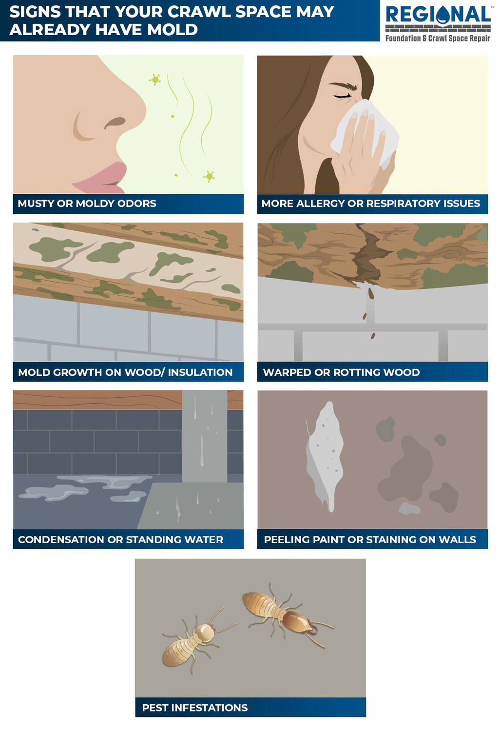 Signs That Your Crawl Space May Already Have Mold